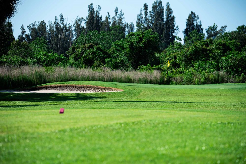 Green and Bunker_2500