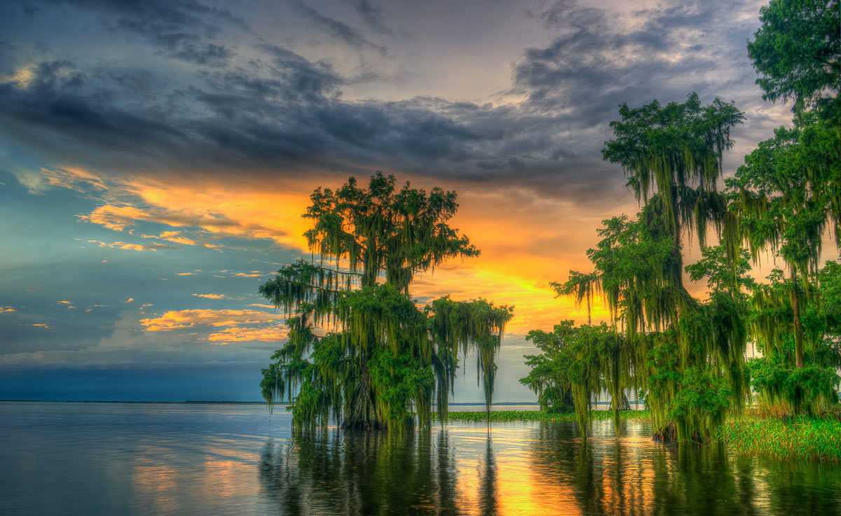 Lake Istokpoga Lake Placid Florida Cypress Trees in Water